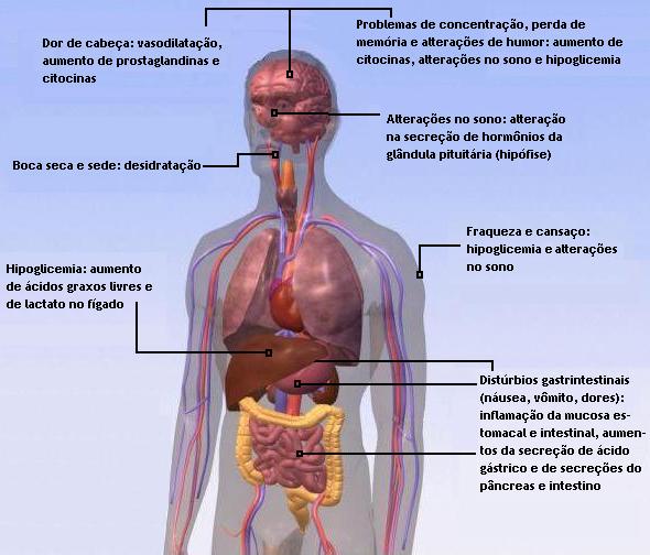 Encontrar uma oração que o marido não bebeu